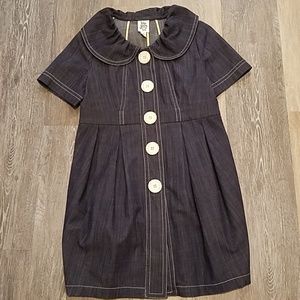 Ivy Jane Denim Dress